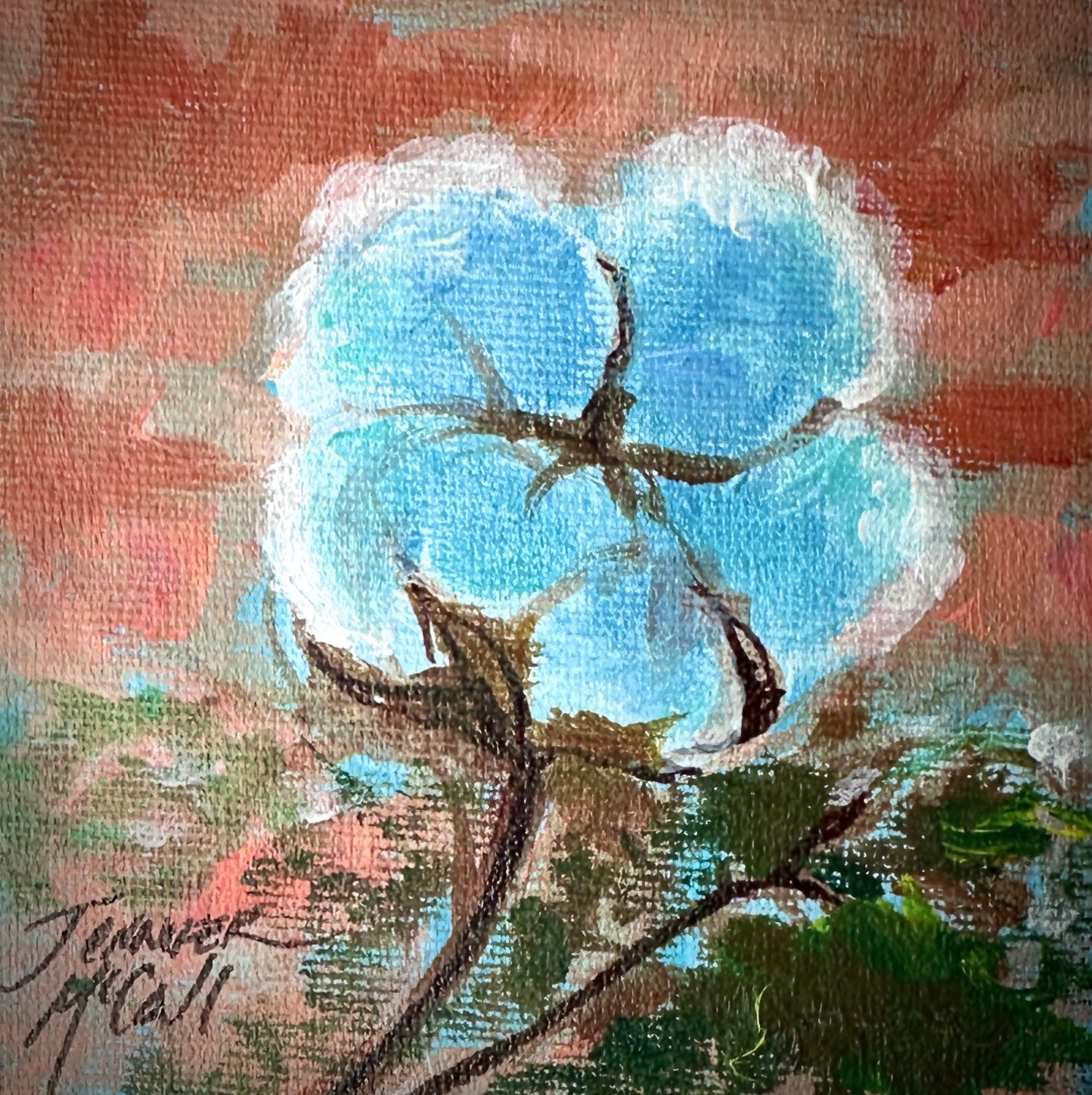 Sunrise with Cotton Boll II