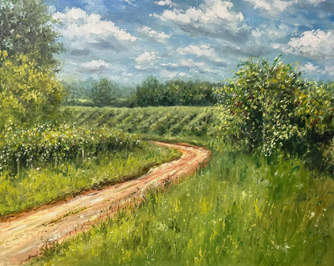 Peace in The Vineyard