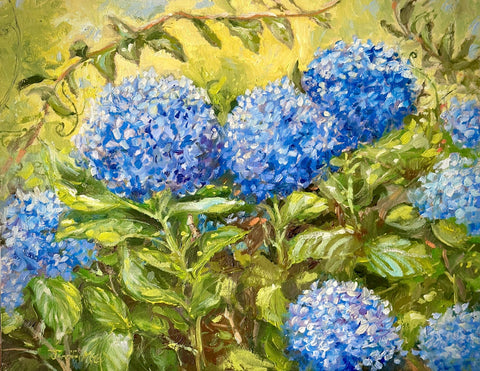 🔴 Forgotten Hydrangeas