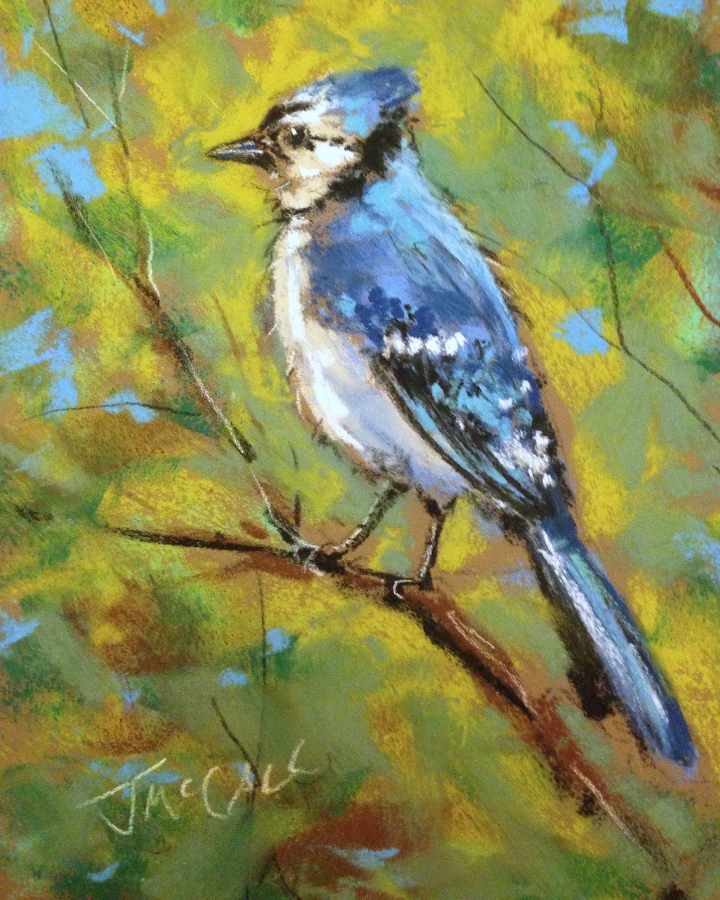 5 x7 Print of Blue Jay