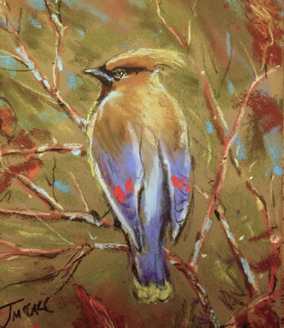 Cedar Waxwing 5 x 7 inch print