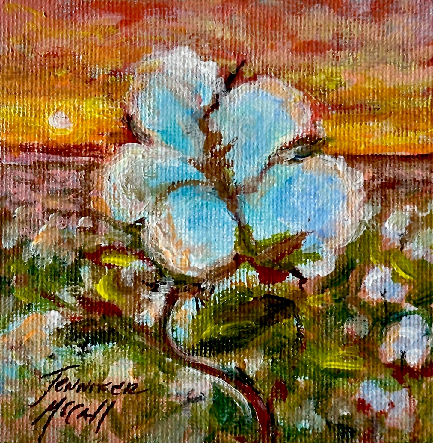 Sunset, Cotton Boll