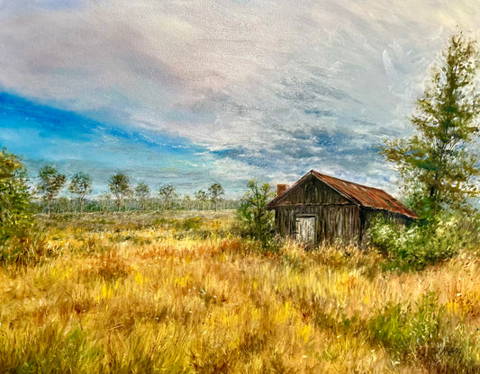 Broomsedge Splendor