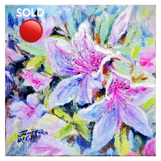 Azaleas at First Light