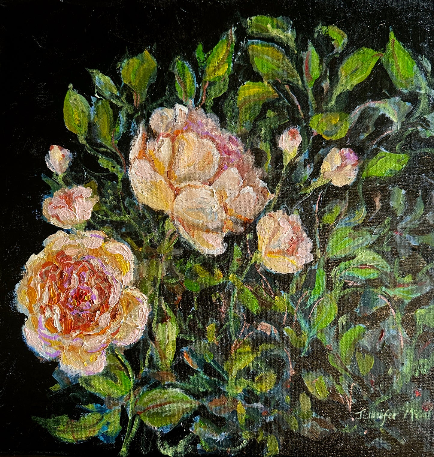 Ambridge Roses