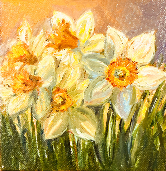 Sunset Daffodils