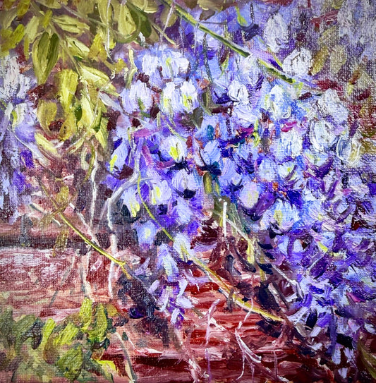 Packhouse Wisteria