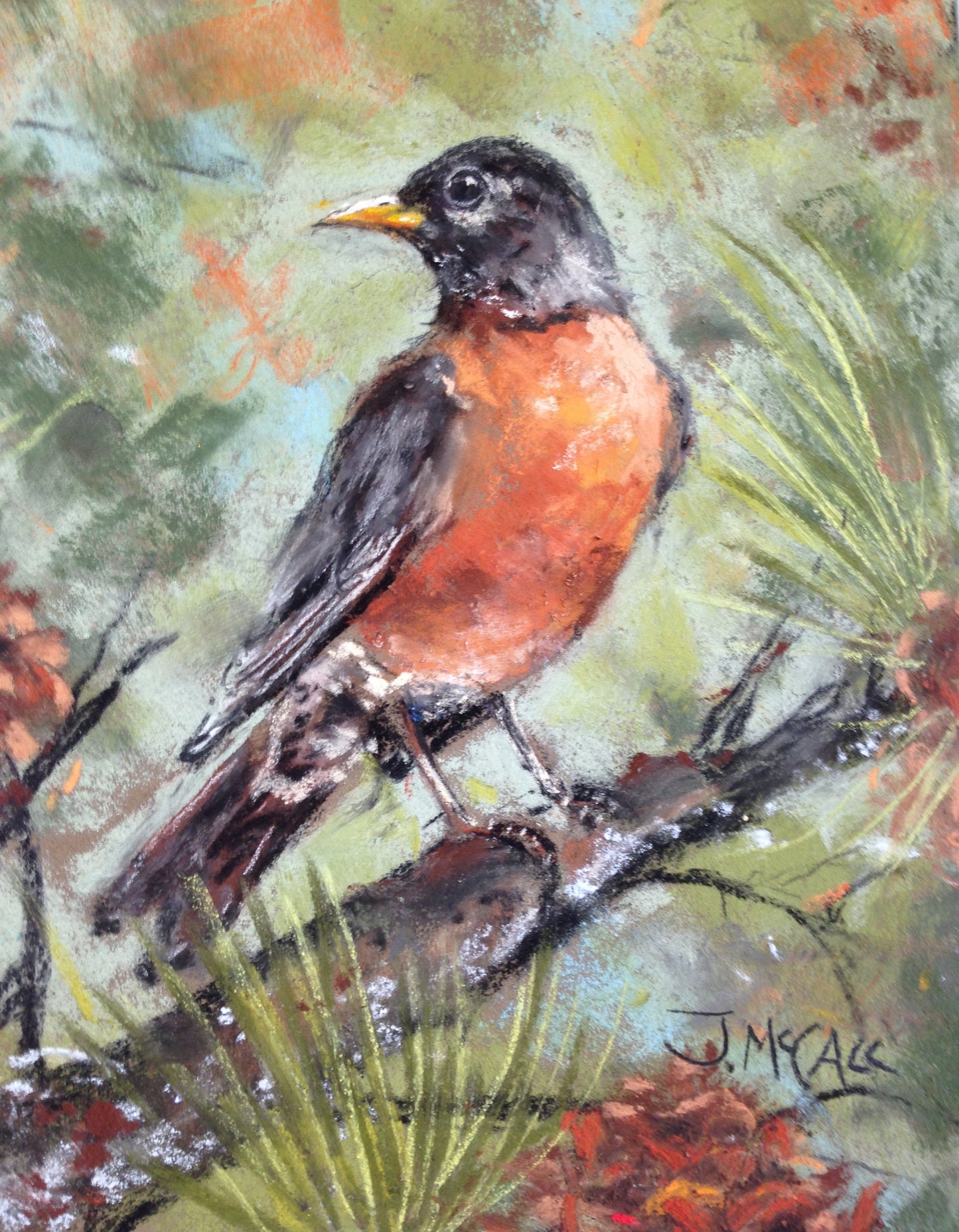5 x7 Print of Spring Robin