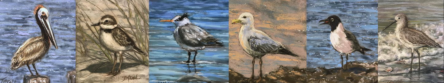 Coastal Birds Notecard Set