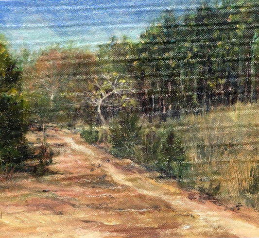 Camp Trail, Arabi